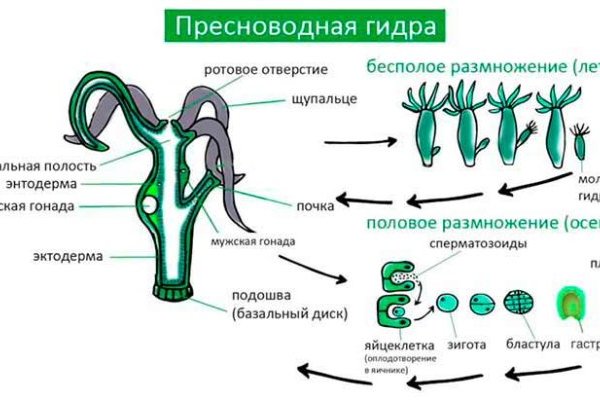 Найти ссылку на кракен