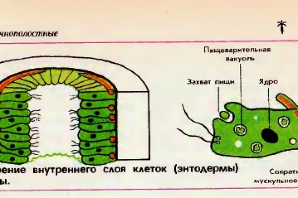 Гидра зайти кракен