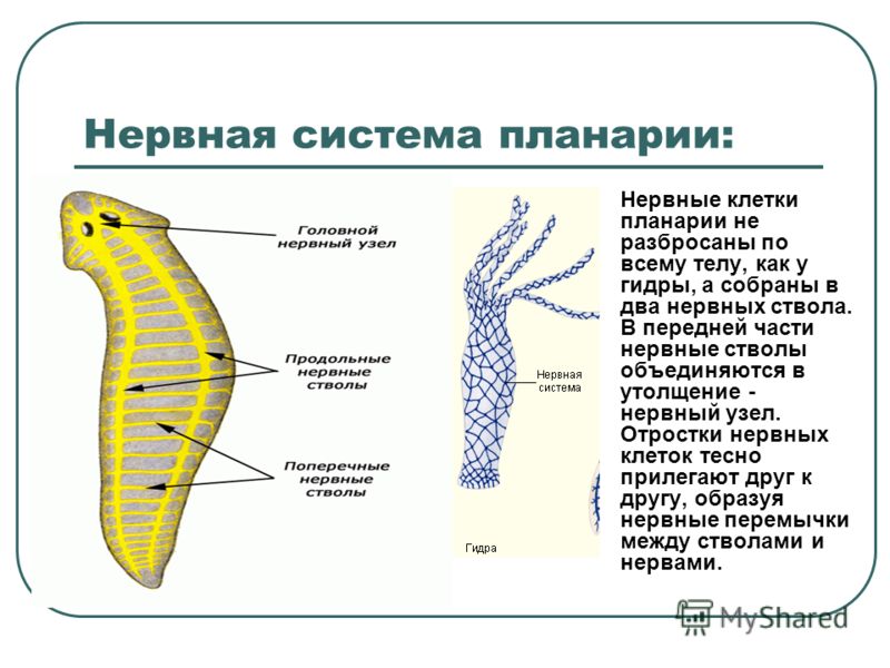 Кракен зеркало на сайт