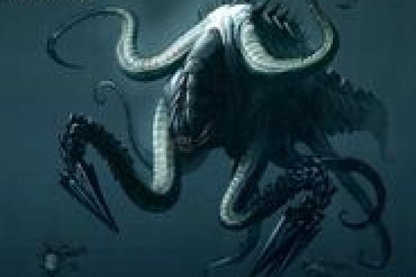 Kraken как найти ссылку